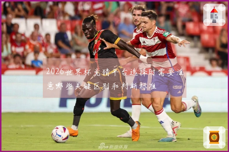 2026世界杯竞猜平台选择时需要注意哪些关键区别和判断标准