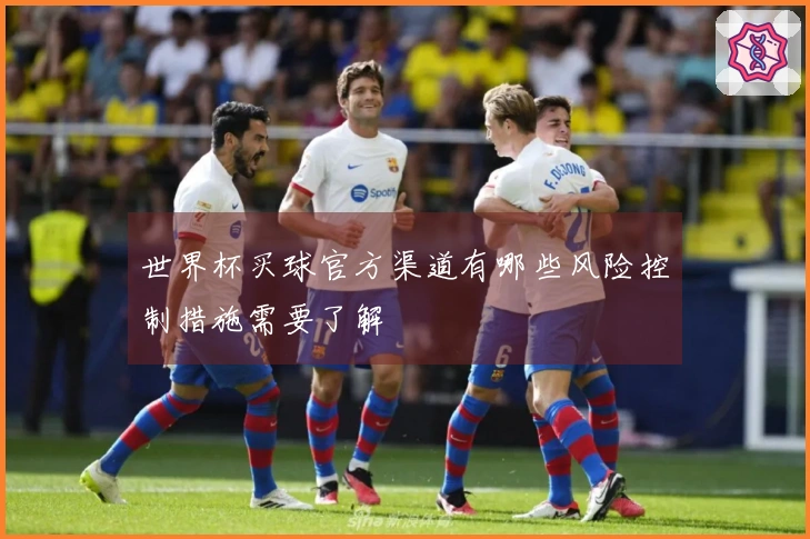 世界杯买球官方渠道有哪些风险控制措施需要了解