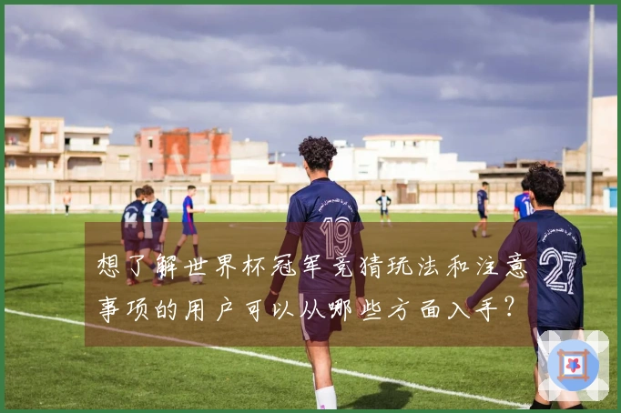 想了解世界杯冠军竞猜玩法和注意事项的用户可以从哪些方面入手？