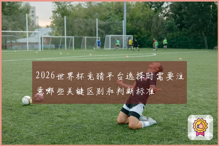 2026世界杯竞猜平台选择时需要注意哪些关键区别和判断标准