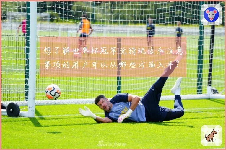 想了解世界杯冠军竞猜玩法和注意事项的用户可以从哪些方面入手？