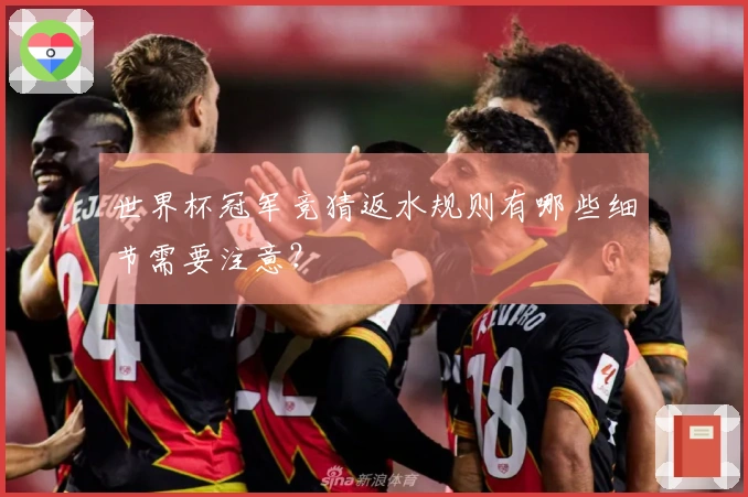 世界杯冠军竞猜返水规则有哪些细节需要注意？