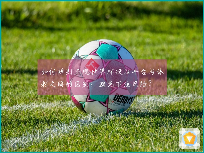 如何辨别正规世界杯投注平台与体彩之间的区别，避免下注风险？