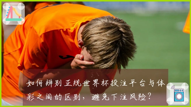 如何辨别正规世界杯投注平台与体彩之间的区别，避免下注风险？