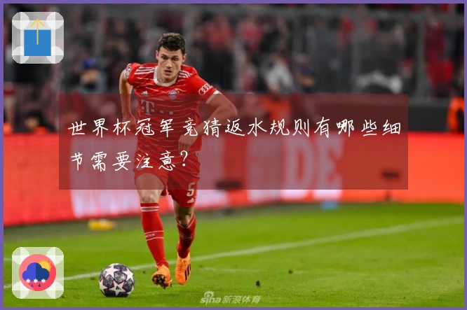 世界杯冠军竞猜返水规则有哪些细节需要注意？