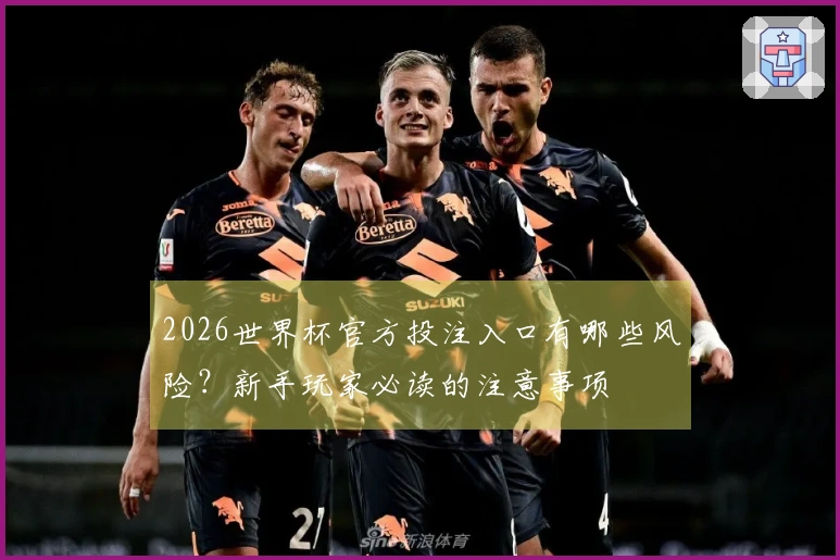 2026世界杯官方投注入口有哪些风险？新手玩家必读的注意事项