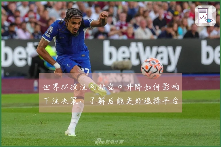 世界杯投注网站盘口升降如何影响下注决策，了解后能更好选择平台